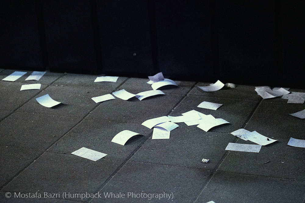 New Edit-1000-42.jpg