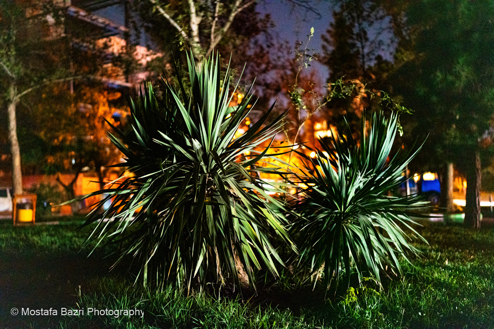 night photography Tir-12.jpg