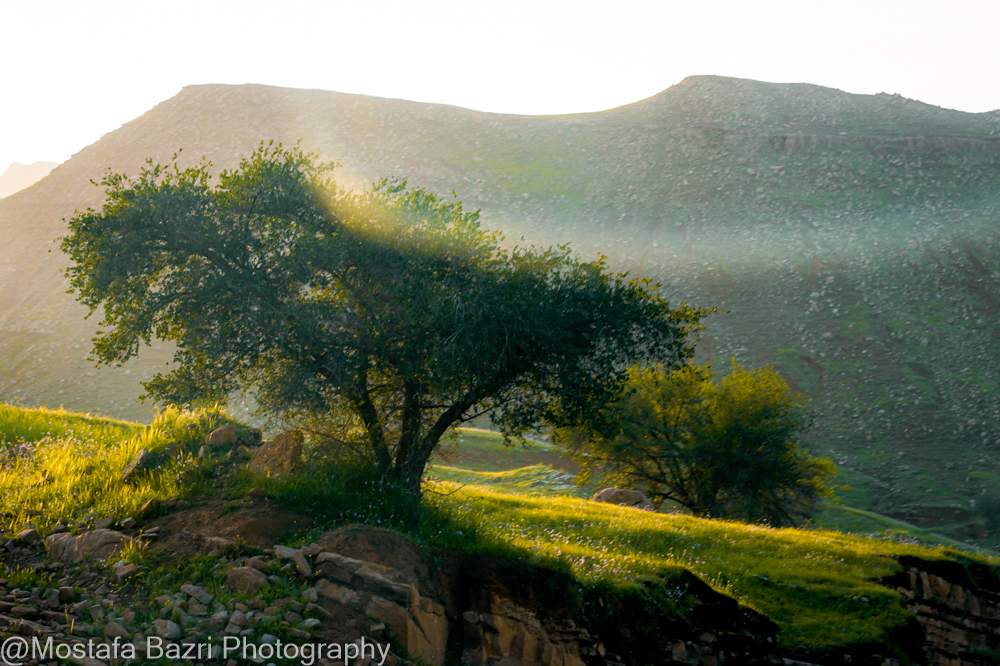 Khouzestan 1-1405-1000-33.jpg