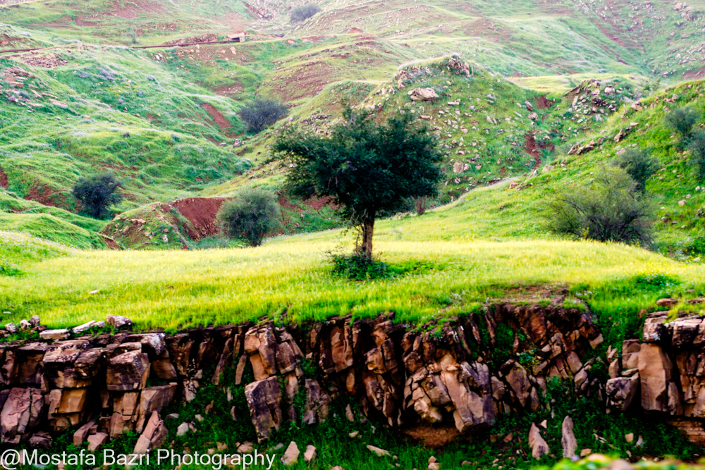 Khouzestan 1-1405-1000-44.jpg