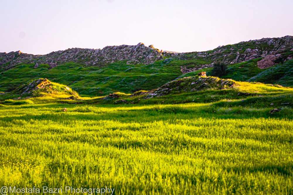 Khouzestan 1-1405-1000-14.jpg