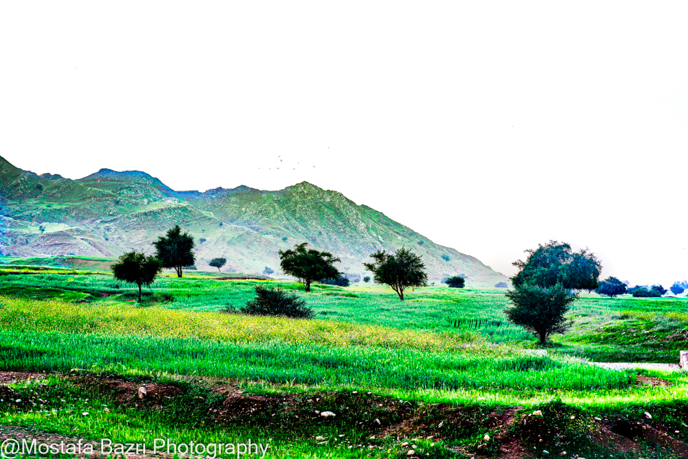 Khouzestan 1-1405-1000-61.jpg