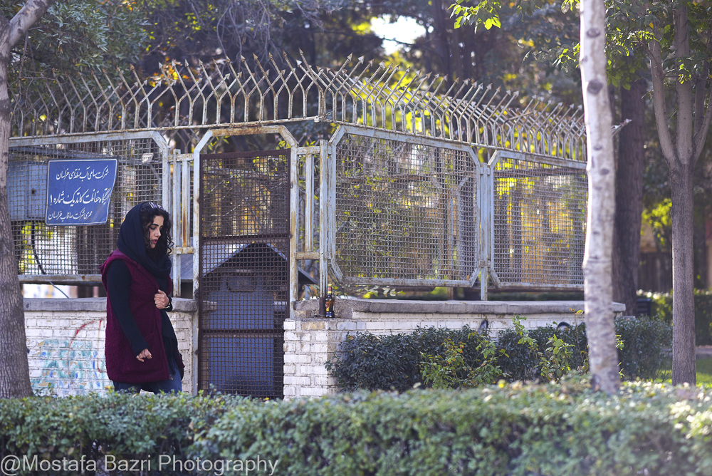 Mostafa Bazri-Aban 1404-1000-8885.jpg