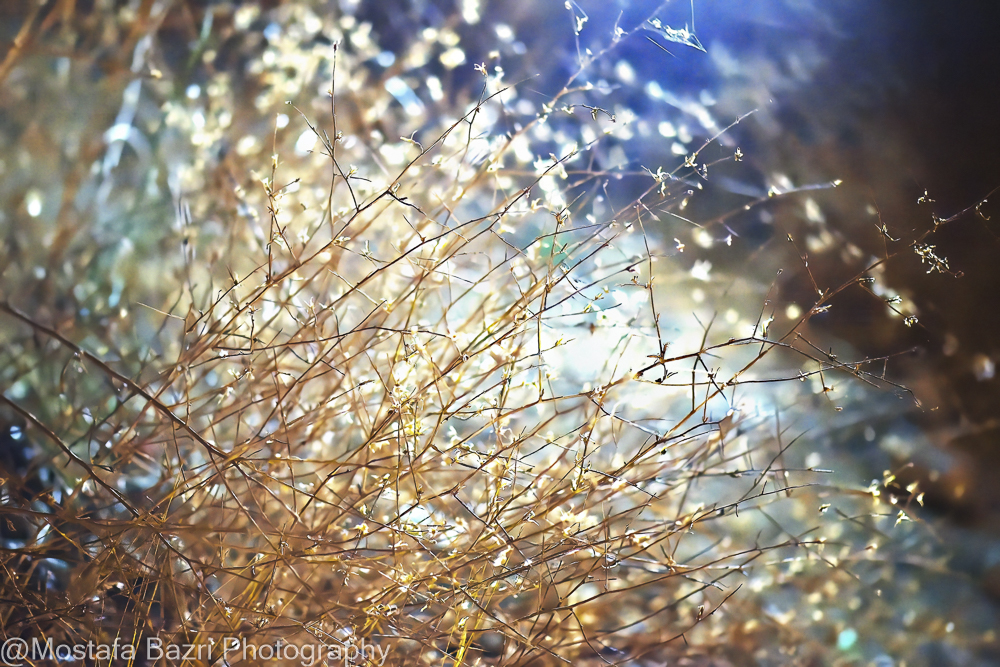 N-Mostafa Bazri-Aban 1404-1000 Night-58.jpg