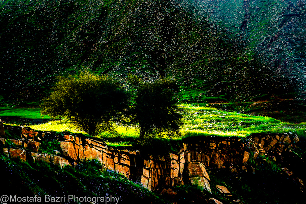 Khouzestan 1-1405-1000-34.jpg