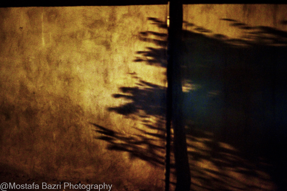 Mostafa Bazri-Aban 1404-1000-0346.jpg