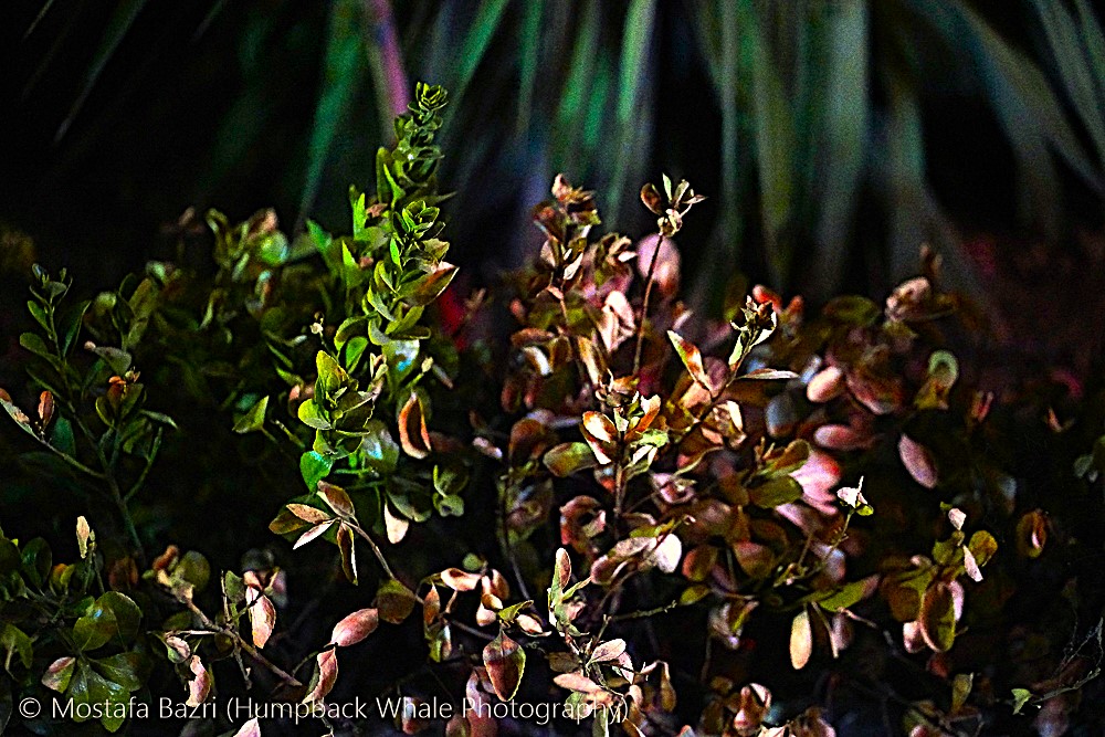 New Edit-1000-32.jpg