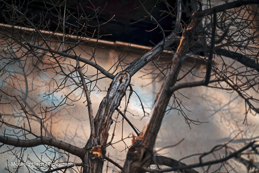 night photography Tir-29.jpg